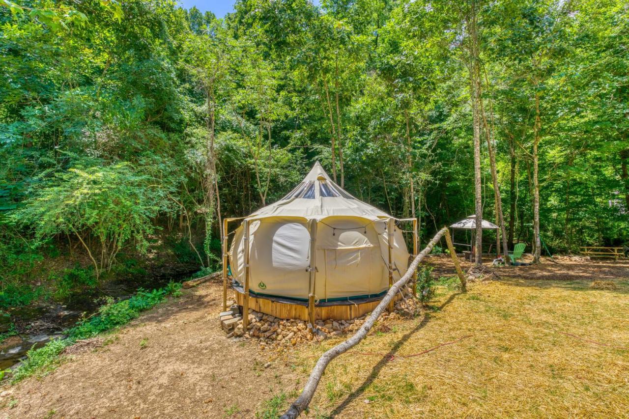 The Gemini-A Dreamy, Waterfront Tiny Cabin Rogersville Exterior photo