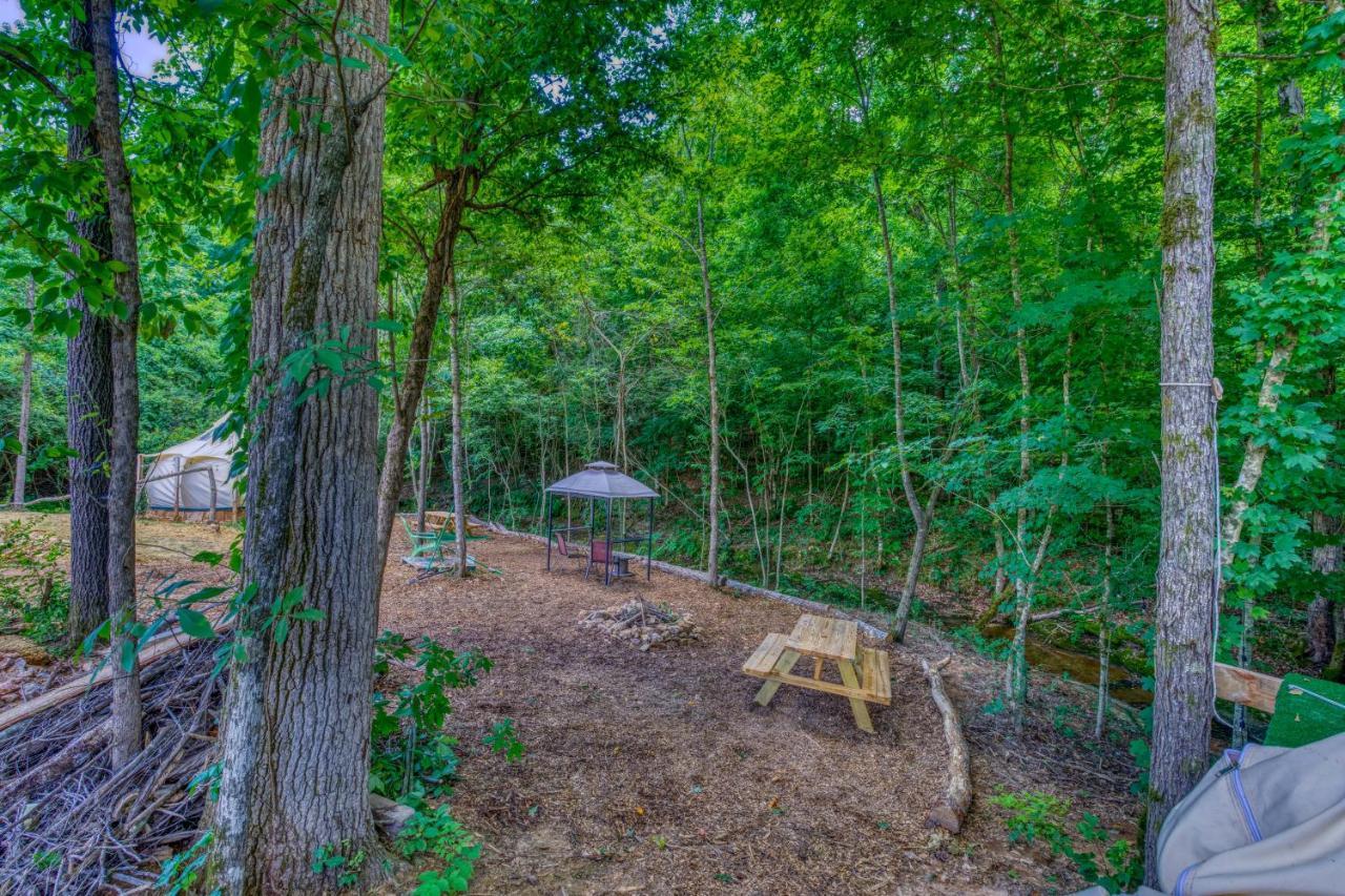 The Gemini-A Dreamy, Waterfront Tiny Cabin Rogersville Exterior photo