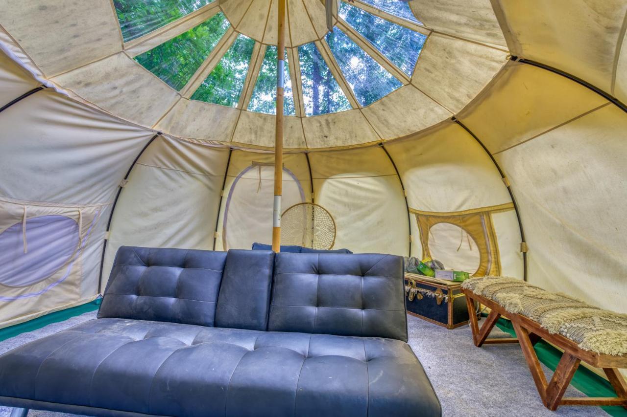The Gemini-A Dreamy, Waterfront Tiny Cabin Rogersville Exterior photo