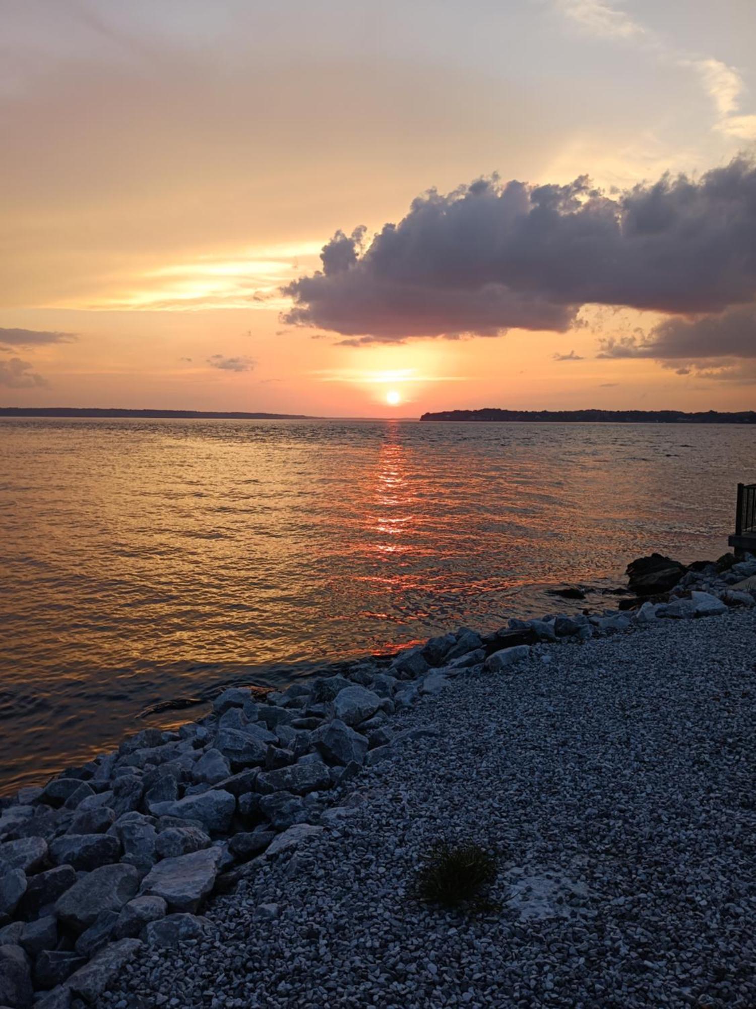 The Gemini-A Dreamy, Waterfront Tiny Cabin Rogersville Exterior photo